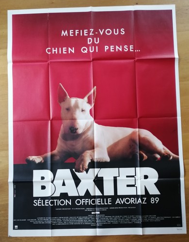 Baxter cane pit bull - cane,