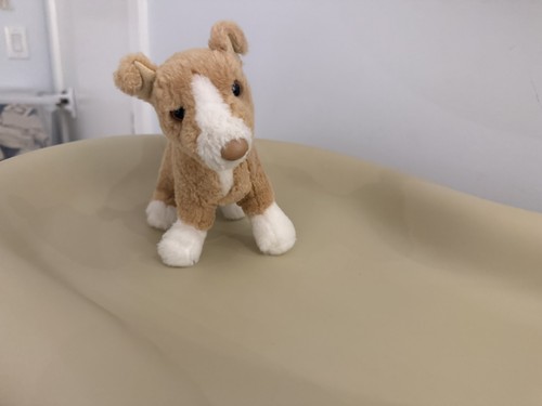Peluche douglas piper pit bull - douglas,