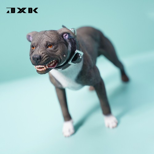 Jxk american pit - jxk, bull