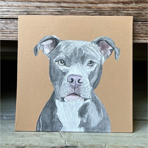 Quadro ritratto cane pitbull