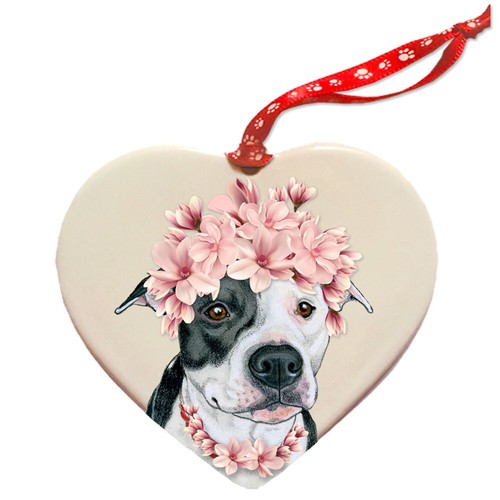 Pit bull bianco - pit, nero