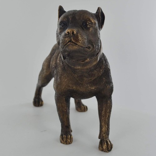 Pit bull terrier dog bronze - dog,