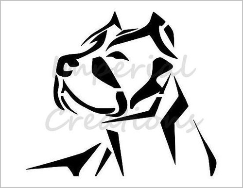 Pit bull cane razza - viso, bullo