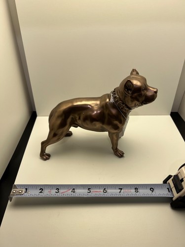 Pit bull pitbull staffie - pit,