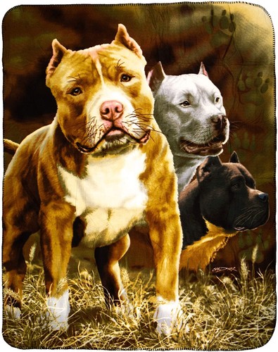 Coperta per cani - coperta,