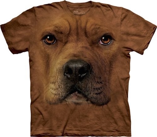 Camicia the mountain - the, pit