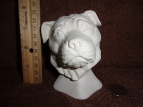 Busto testa cane pit - testa,