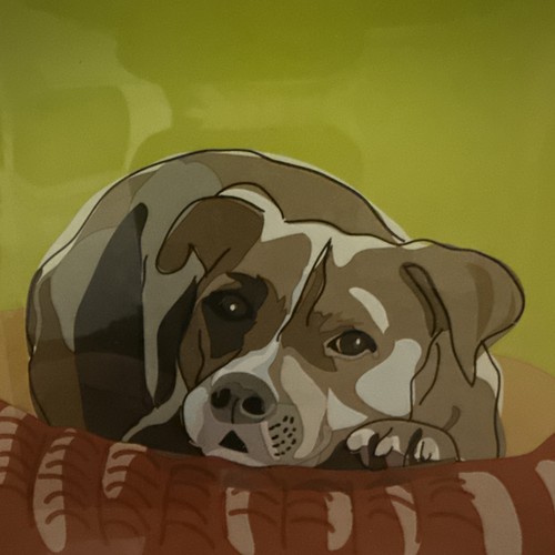 Reparto dog pit bull - go,