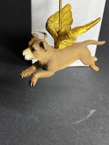 Pit bull terrier dog toscano - pit,