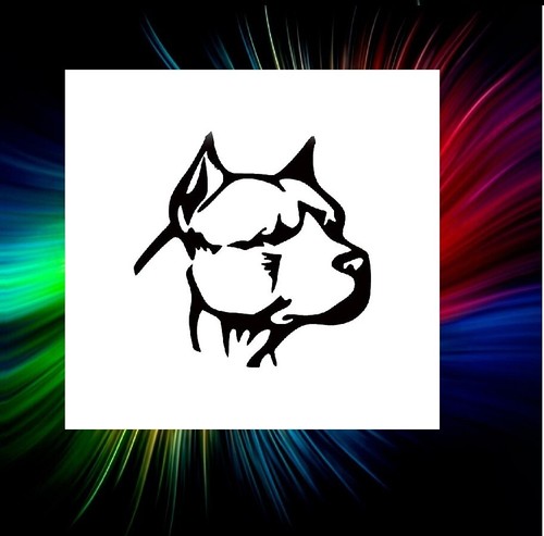 Pit bull aerografo viso - bull,