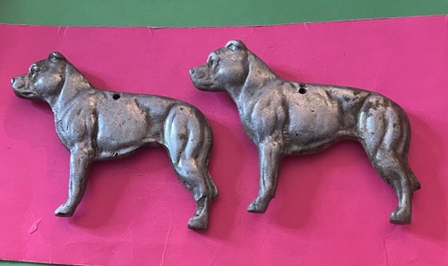 Pitbull pit bull terrier cane - pitbull,