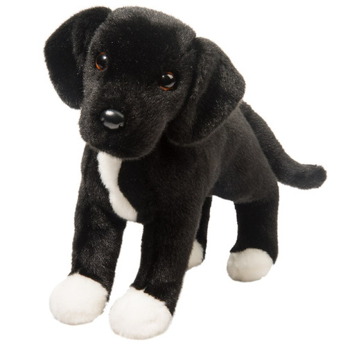 Douglas dog twister - dog,