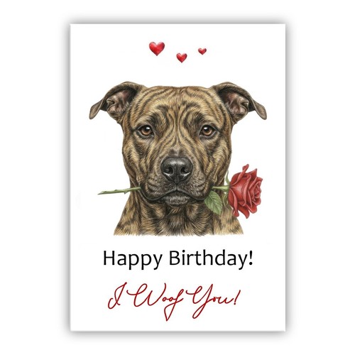 Biglietto compleanno cane - biglietto, pit
