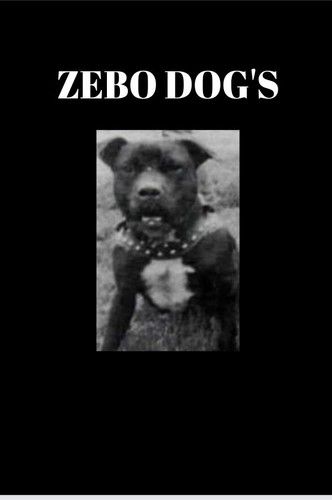 Libro illustrato zebo dog - illustrato,