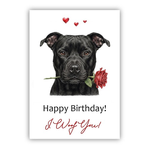 Biglietto compleanno pit - pit, bull