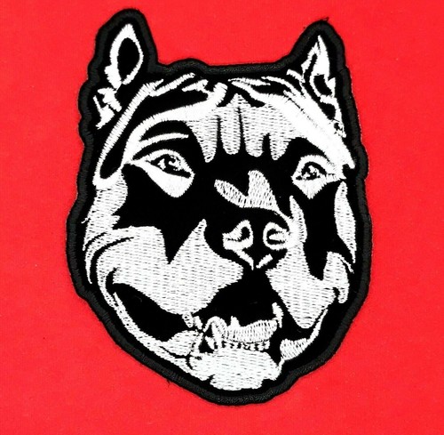 Pit bull toppa - toppa, da