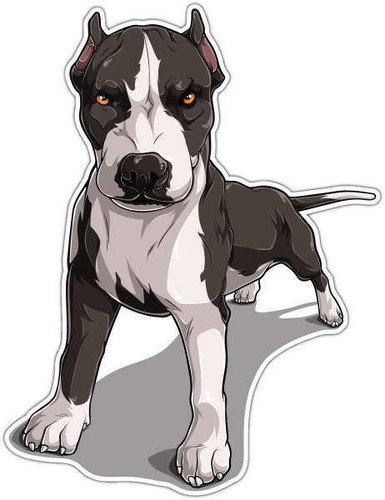 Adesivo potente cane pitbull