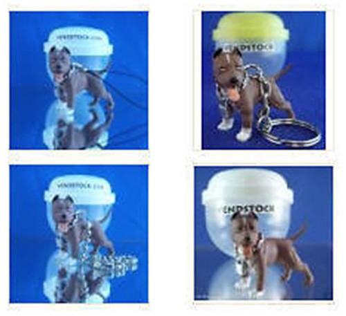 Pit bull terrier marrone - marrone, #13