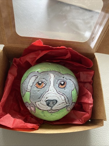 Arte rupestre cane pitbull