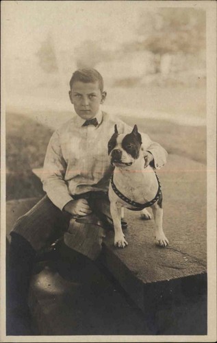 Rppc serious boy pitbull pit - serious,