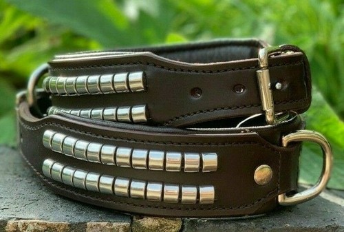 Collare cane pelle - cane,