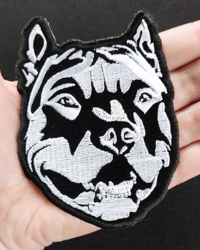 Pitbull dog head - head,