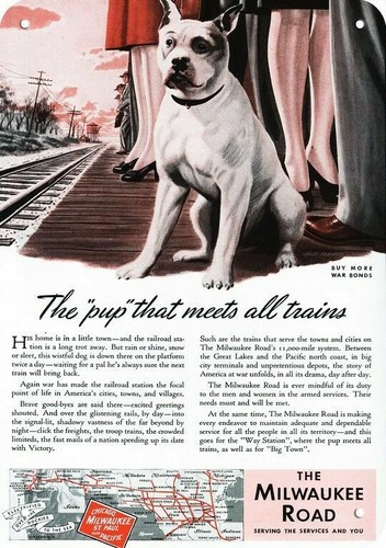 1944 pit bull dog waits - waits, 4