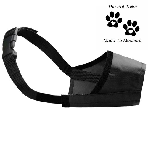 Pit bull terrier museruola - pit,