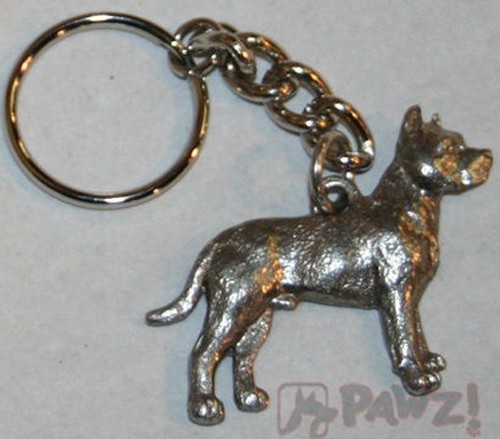 Pit bull terrier - pit,