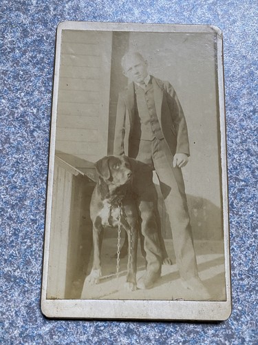 Foto cdv vintage american pit - foto,