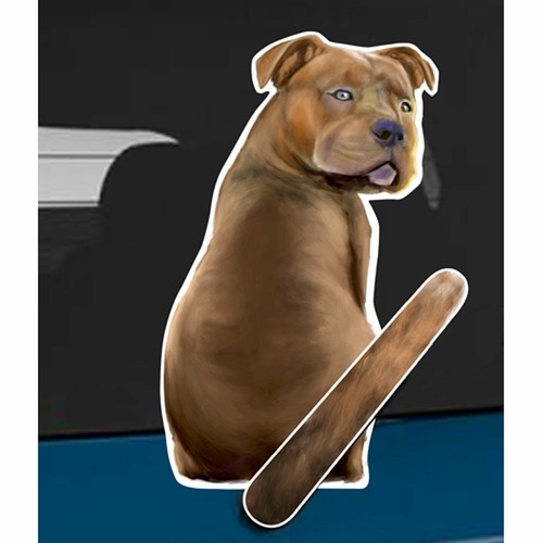 Pit bull dog - pit,