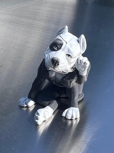 Pit bull cane - grigio, orecchio