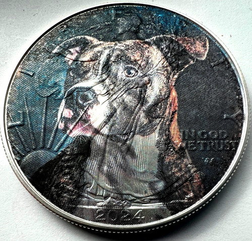 Pit bull cane - pit, staffordshire