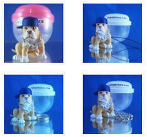 Pit bull terrier hood - terrier, #23